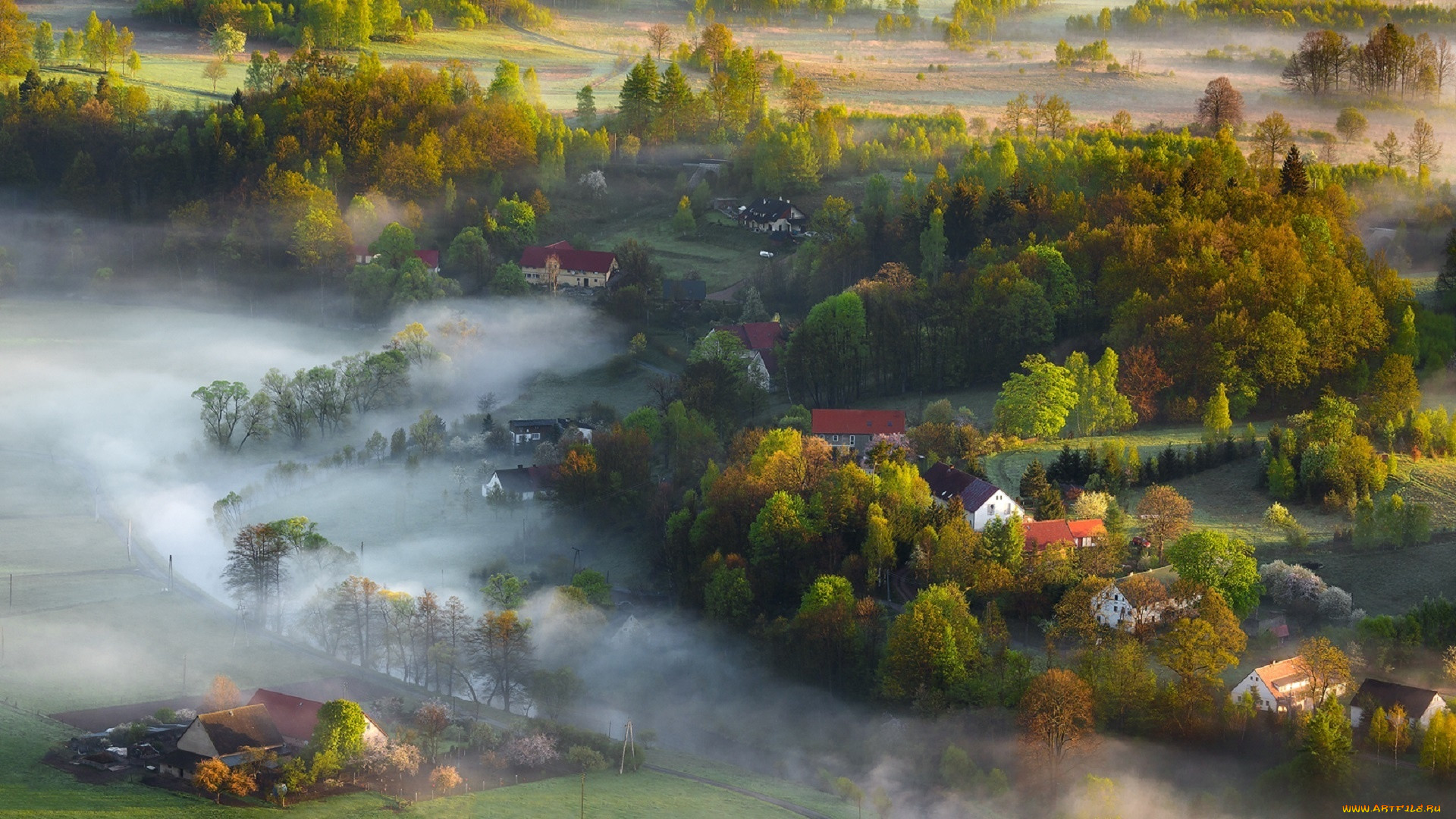 , - , landscape, canon, mist, light, spring, iza, darek